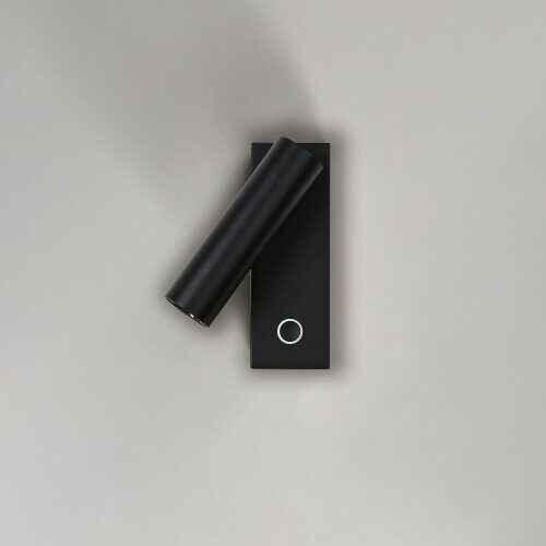 3101/W